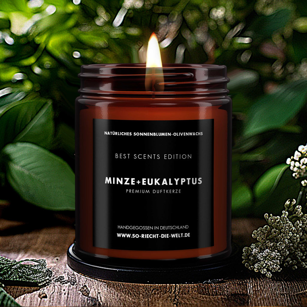 Minze & Eukalyptus Kerze - Best Scents Edition