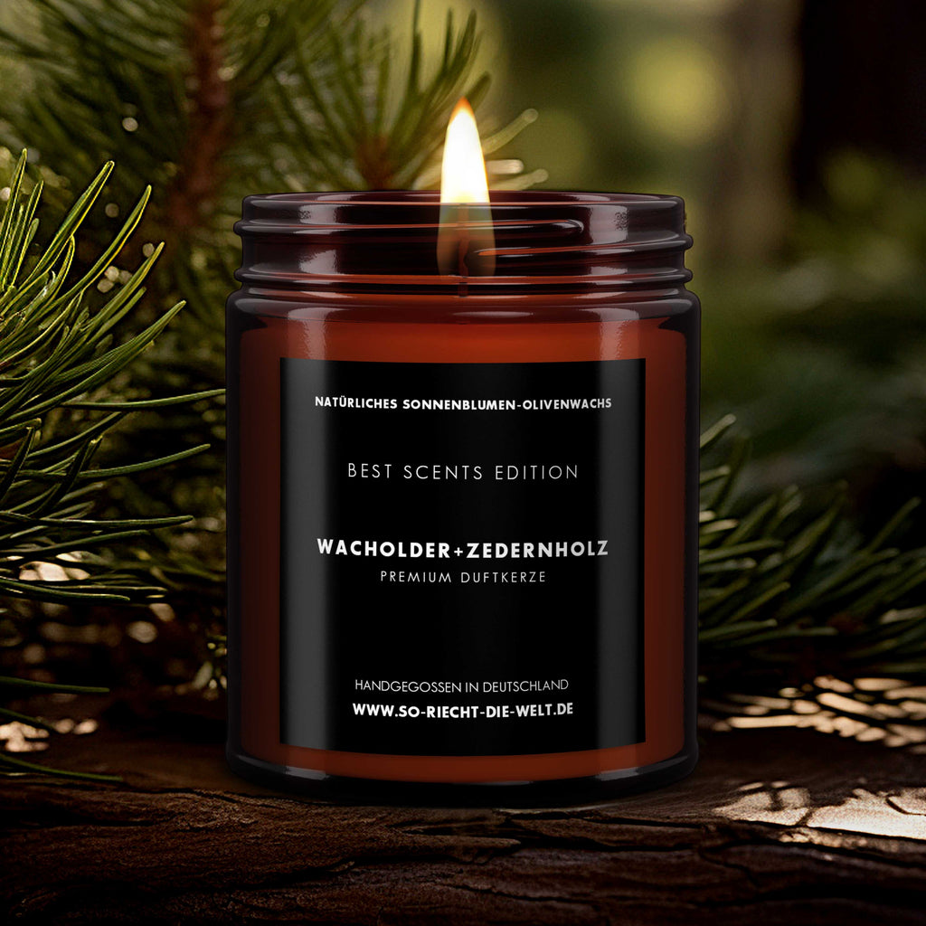 Wacholder & Zedernholz Kerze - Best Scents Edition-1